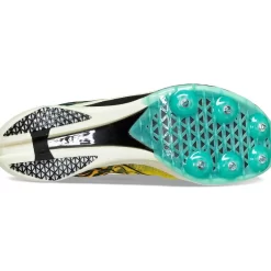 Hombre Saucony Competicion*Hombre Endorphin Cheetah Black / Vizi